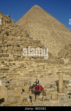 Il cammello e il ciclista presso le Piramidi di Giza, il Cairo, Egitto Foto Stock