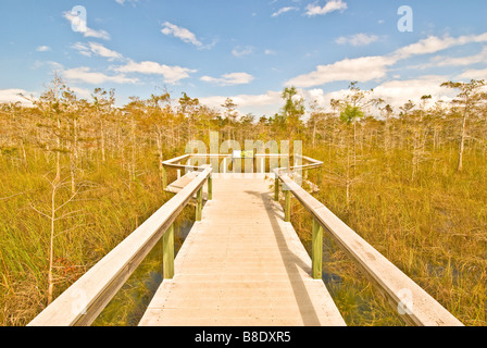 Roccia corallina Pass boardwalk Everglades National Park composite decking in cipressi è di un bianco luminoso riflesso dal caldo sole Foto Stock