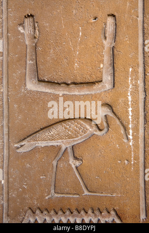 Nome del capo della giustizia e visir Kagemni sulle pareti della sua tomba mastaba a Saqqara Egitto Foto Stock