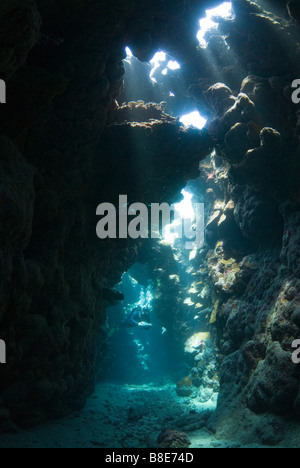 Sommozzatore penetrare un semi aperta grotta poco profonda sistema nel Mare Rosso. Foto Stock