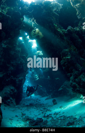 Sommozzatore penetrare un semi aperta grotta poco profonda sistema nel Mare Rosso. Foto Stock