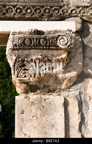 Decorativo ornamenti scolpiti in sinagoga con motivi biblici Foto Stock