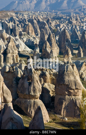 Camini di Fata in Cappadocia Turchia Foto Stock