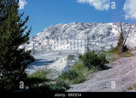 Giove terrazza, Mammoth Hot Springs, il Parco Nazionale di Yellowstone, STATI UNITI D'AMERICA Foto Stock