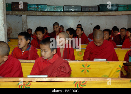 Giovani monaci in classe A dello stato scuola monastica Phodrung Dechen monastero. Foto Stock