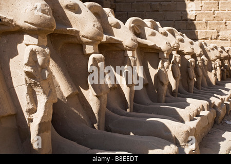 Statue di Ram al Tempio di Karnak in Egitto. Foto Stock