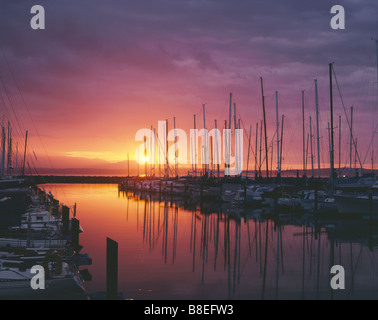 WASHINGTON - Shilshole Bay Marina sulle rive del Puget Sound di Seattle. Foto Stock