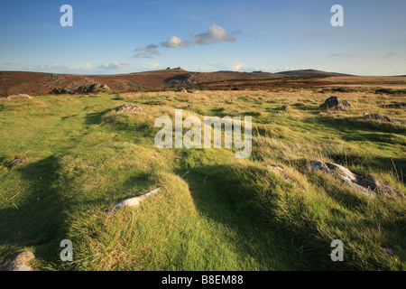 Autunno vista dal hound Tor attraverso Greator verso Haytor, Dartmoor Devon, Inghilterra Foto Stock