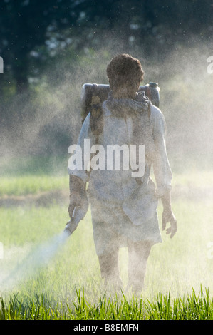 Uomo indiano la spruzzatura di un raccolto di riso con pesticidi. Andhra Pradesh, India Foto Stock