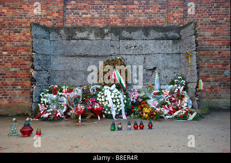 Auschwitz Polonia Foto Stock