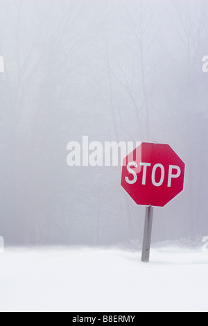 Un segnale di stop si erge nel mezzo della neve profonda con nessuna strada visibile, contro uno sfondo di nebbia e alberi in inverno. Foto Stock