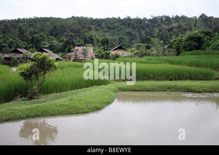 Thailandia Chiang Mai, Karen Hill Tribe village Foto Stock