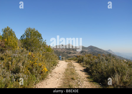 Donna escursionista sulla pista di montagna, vicino a Benimaurell, Vall de Laguar, provincia di Alicante, Comunidad Valenciana, Spagna Foto Stock