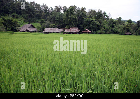 Thailandia Chiang Mai, Karen Hill Tribe village Foto Stock