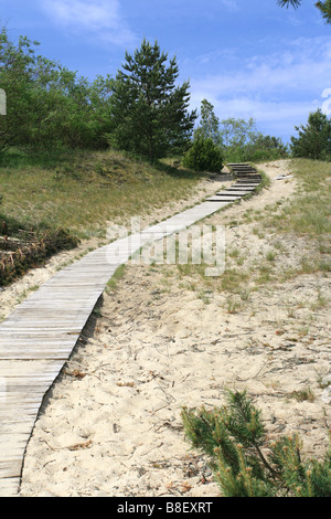 Percorso di legno di Parnidis Dune (Kopa Parnidzio), vicino a Nida Curonian Spit, Lituania Foto Stock