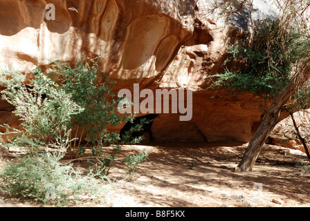 Pitture rupestri nel Tassili Maghidet (Maghridet o Libyc Tassili) Foto Stock