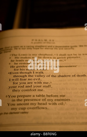 Una Bibbia aperta al salmo 23 Foto Stock