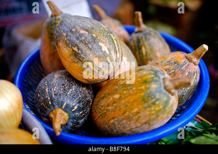 Piccole zucche in un blu cesto in plastica sul display Foto Stock