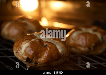 Tre hot cross panini seduto su una griglia vassoio in forno essendo riscaldato Foto Stock