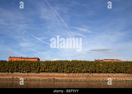 Quai de la Daurade, Toulouse, Francia Foto Stock