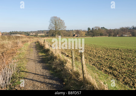 La campagna del Surrey in inverno REGNO UNITO Foto Stock