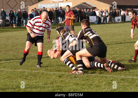 Rugby amatoriale match game con una prova di essere incisa con il ref arbitro guardando in stretta partecipazione Foto Stock