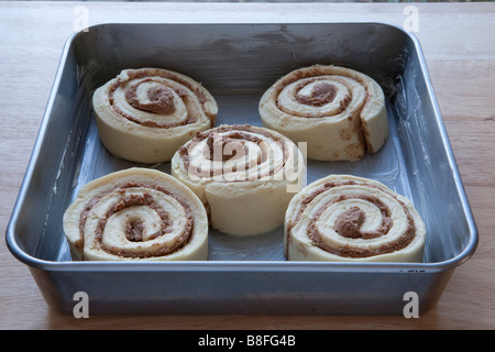 Panini alla cannella in teglia sul tavolo di legno pronto per cuocere al forno Foto Stock