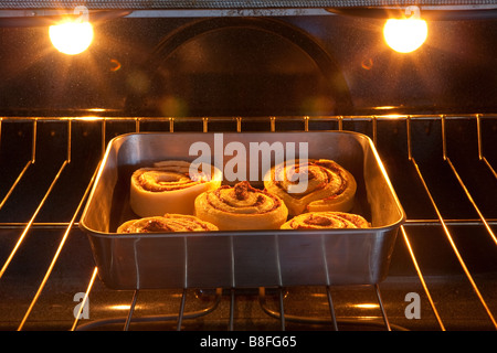 Panini alla cannella in teglia nel forno pronto per cuocere al forno Foto Stock