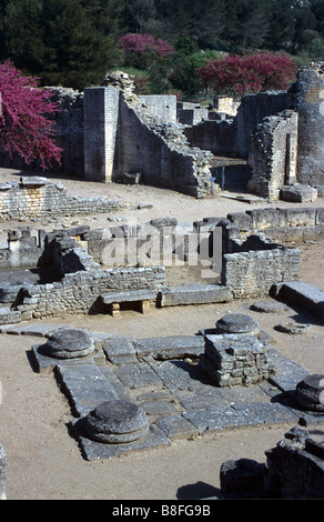 Vista su tutta inferiore città greco-romano o resti di Glanum, Saint Rémy de Provence, Alpilles, Francia Foto Stock