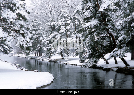 WINTER SCENE FROM VADNAIS[SNAIL LAKES REGIONAL PARK, VADNAIS HEIGHTS, MINNESOTA.  JANUARY. Foto Stock