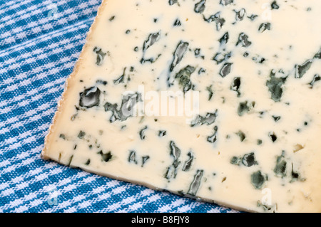 "Bleu d'Auvergne AOC Rocabret' / Auvergne formaggio blu - Francia. Foto Stock