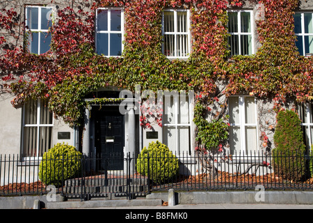 Coperto di edera casa Georgiana, Clonmel County Tipperary, Irlanda Foto Stock