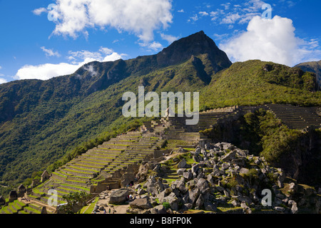 Terrazze a Machu Picchu Foto Stock