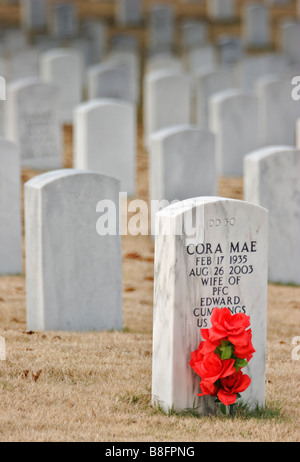 Tomba di pietre al Cimitero Nazionale a Chattanooga qualcuno ha messo una plastica rosa rossa su uno di essi Foto Stock
