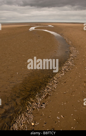 Canale di mare rivestita con razor conchiglie sulla spiaggia di Tichwell, Norfolk, Inghilterra, Regno Unito Foto Stock