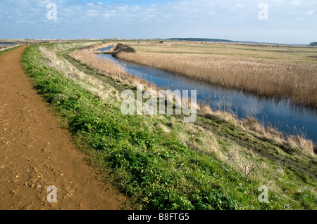 Un percorso lungo un canale attraverso Overy Marsh, Burnham Overy, Norfolk, Inghilterra, Regno Unito Foto Stock