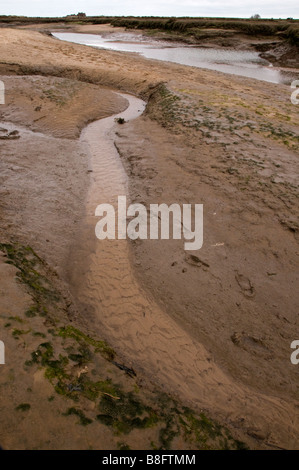 Canale di fango, Titchwell Riserva Naturale, Norfolk, Inghilterra, Regno Unito Foto Stock