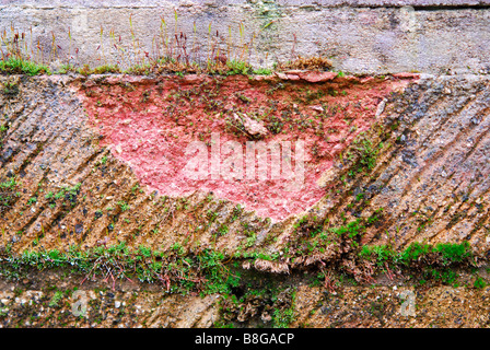 Effetti di brina fracassando sul muschio coperti di mattoni casa. Foto Stock