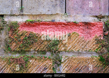 Effetti di brina fracassando sul muschio coperti di mattoni casa. Foto Stock