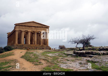 Tempio della Concordia, La Valle dei templi (Tempio della Concordia nella Valle dei Templi, Agrigento, Sicilia, Italia Foto Stock