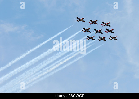 La Dimostrazione Snowbirds Team 431 Squadrone è una icona canadese compreso di servire i membri delle forze canadesi. Foto Stock