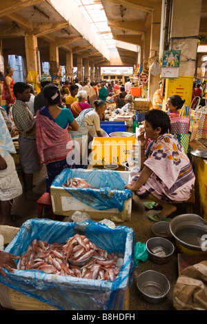 India Pondicherry principale mercato di bancarelle che vendono carni pesci catturati Foto Stock