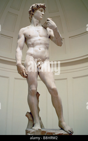 Firenze Italia David di Michelangelo nella Galleria dell'Accademia Foto Stock