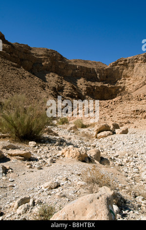 Vista del deserto della Giudea a sud di masada Foto Stock