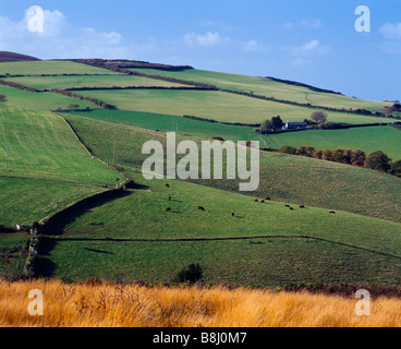 Porlock Hill nel Parco Nazionale di Exmoor visto da Doverhay Down, Porlock, Somerset, Inghilterra. Foto Stock