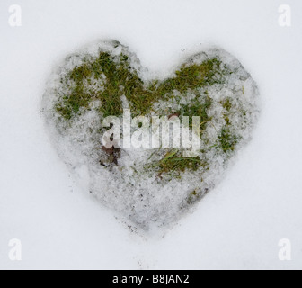 A forma di cuore inciso in scongelamento di neve per erba Foto Stock