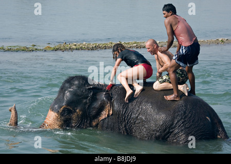 Elephant di balneazione con i turisti in Rapti Rapoti fiume nel Parco nazionale di Royal Chitwan Nepal Foto Stock