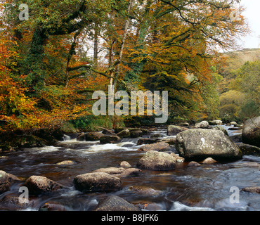 Il est fiume Dart a Dartmeet nel Parco Nazionale di Dartmoor, Devon, Inghilterra. Foto Stock