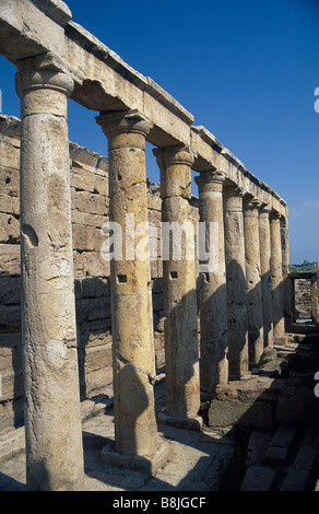 Hierapolis citta romana sito fila di colonne archi PAMUKKALE costa egea della Turchia Foto stock Alamy