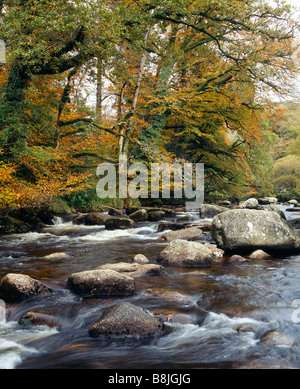 Il est fiume Dart a Dartmeet nel Parco Nazionale di Dartmoor, Devon, Inghilterra. Foto Stock